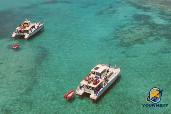 Abrolhos diving Brazil