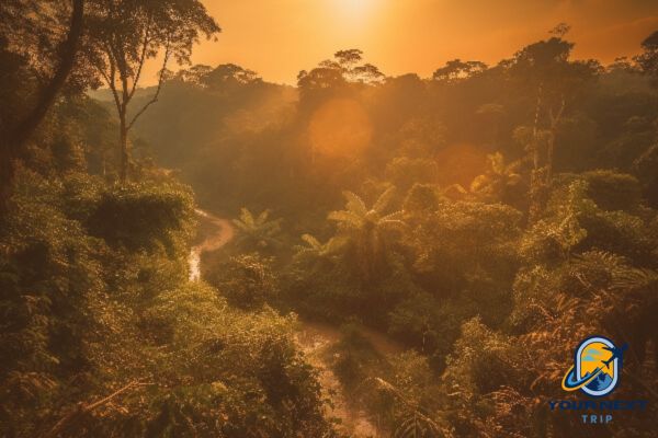 Amazon rainforest travel Brazil