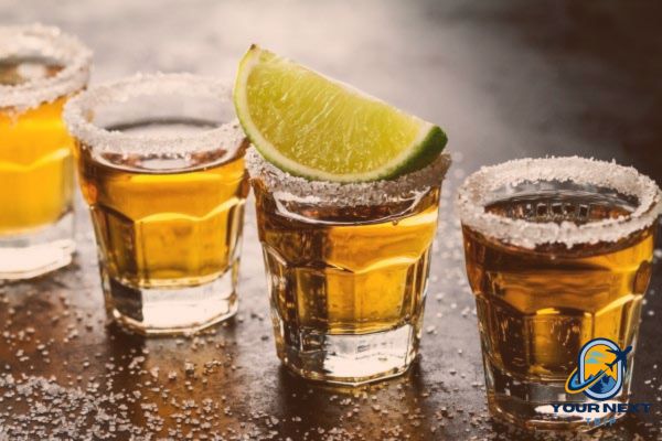 Cachaca tour Brazil